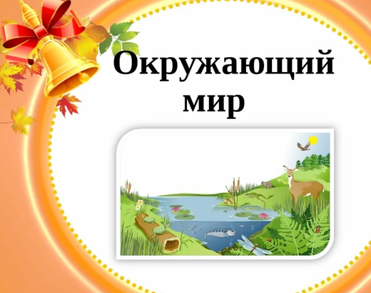 Окружающий мир