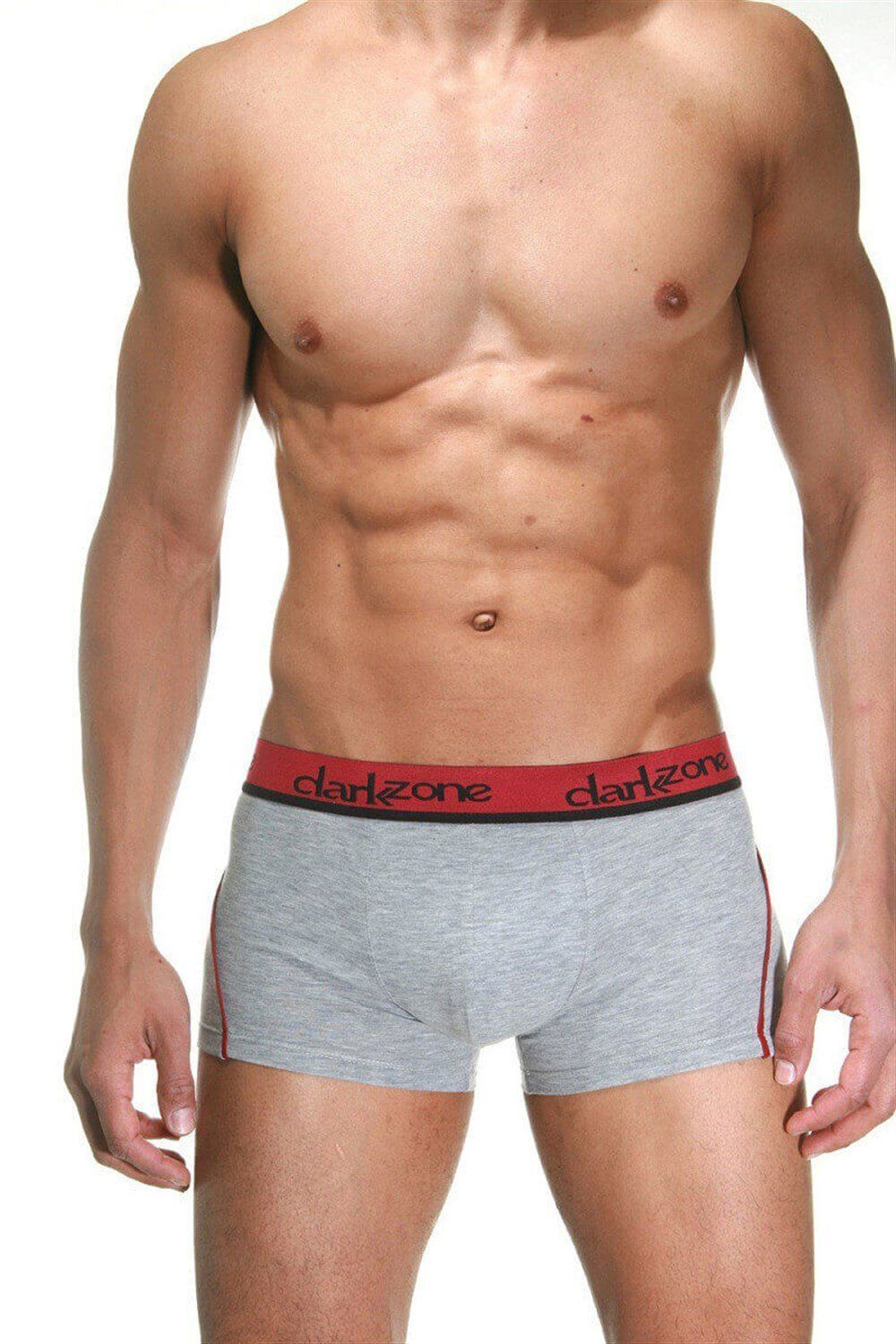 Светло-серые трусы-боксеры с яркой брендированной резинкой (Размер: XL) (Цвет: светло-серый)