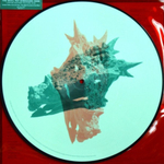 Alice In Chains / The Devil Put Dinosaurs Here (Limited Edition)(Picture Disc)(2LP)