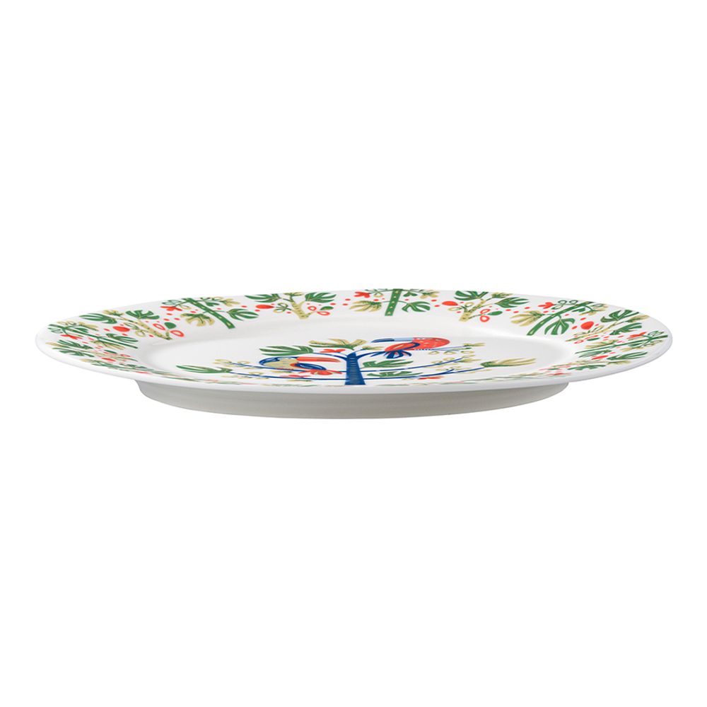 Набор тарелок Toucan из коллекции Birds of Paradise в подарочной упаковке, Ø28 см, 2 шт.