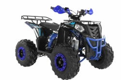 Квадроцикл Wels Thunder EVO