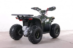 Электроквадроцикл Green Camel Гоби K90 (48V 750W R7 Дифференциал) Tao LUX