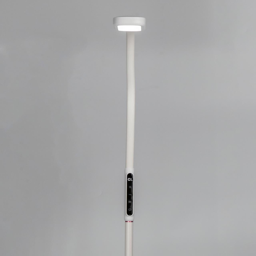 Торшер светодиодный  Citilux Марк CL804020