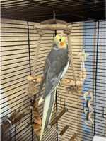 Качели для птиц джутовые