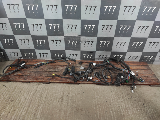 Проводка моторного отсека Nissan Qashqai 2 (J11) 13-24 Б/У Оригинал 24012HL11B