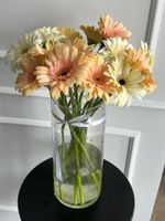 Гербера в кремовом оттенке от 15 шт