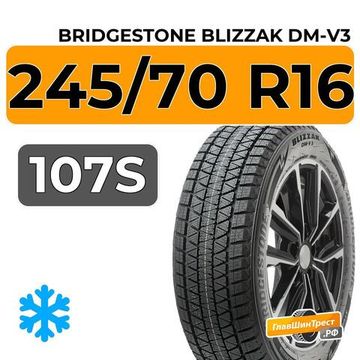 Bridgestone Blizzak DM-V3 245/70 R16 107S
