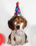 G Шар Щенок в колпаке, 41"/104см