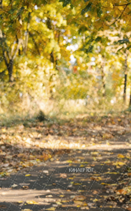 Фотофон "Осень" арт. ФФ906-57