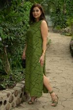 Платье Дария (лайм) П13480-1М LT Collection