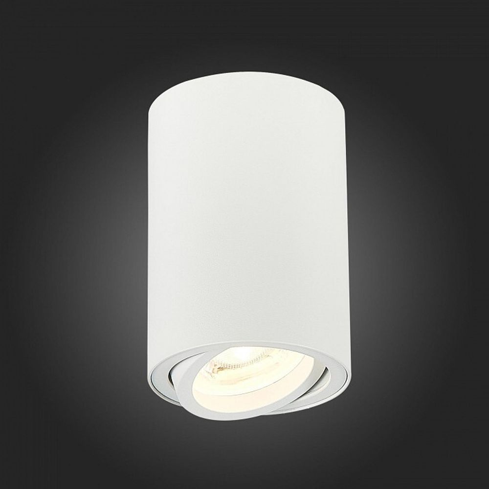 Спот ST-Luce Torus ST108.507.01