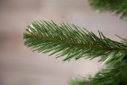 Елка Санкт-Петербург 185 см., мягкая хвоя, Triumph Tree (73580)