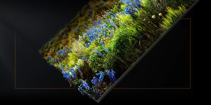 Новинка! Телевизор с технологией Microled