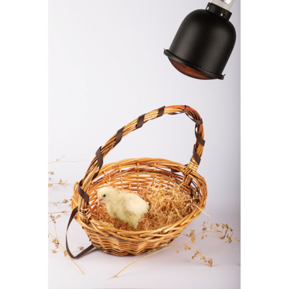 Светильник для террариумов и брудеров ЭРА FITO-E27-SHADE с защитной решеткой