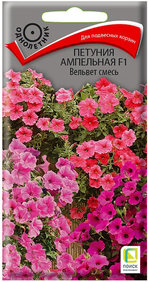 Семена цветов Петунья ампельная F1 (цв 5шт)