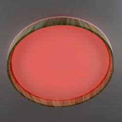 Citilux ENZO CL753452G LED RGB Светильник с пультом Клён