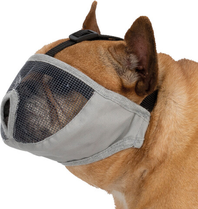 Намордник для собак Trixie Muzzle, размер XS-S, серый