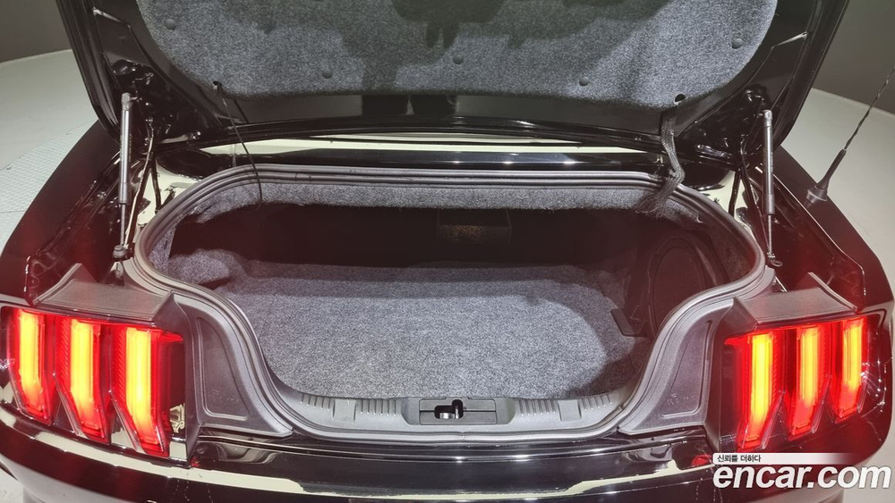 Ford Mustang Convertible (09.2019)