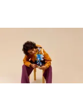 Конструктор Harry Potter 76461 Корнуоллская Пикси