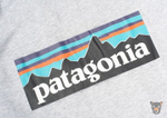 Зип-худи Patagonia