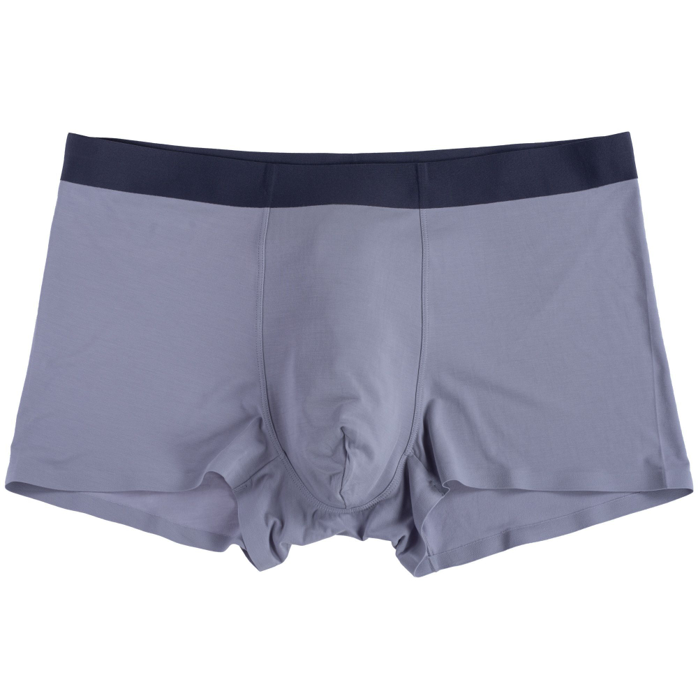 Трусы-боксеры из приятного к телу модала (Размер: L) (Цвет: синий)