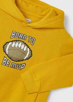 толстовка с капюшоном