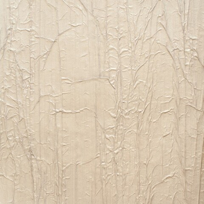 Обои Carl Robinson Edition 3 33507 CB III