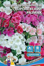 Семена Годеция Королевский размах - крупноцветковая (УД) Е/П