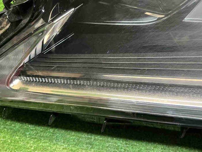 IMG_3712.JPG
