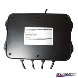 Зарядное устройство SEA-PRO ТЕ4-0274 (4х12В LiFePo4)