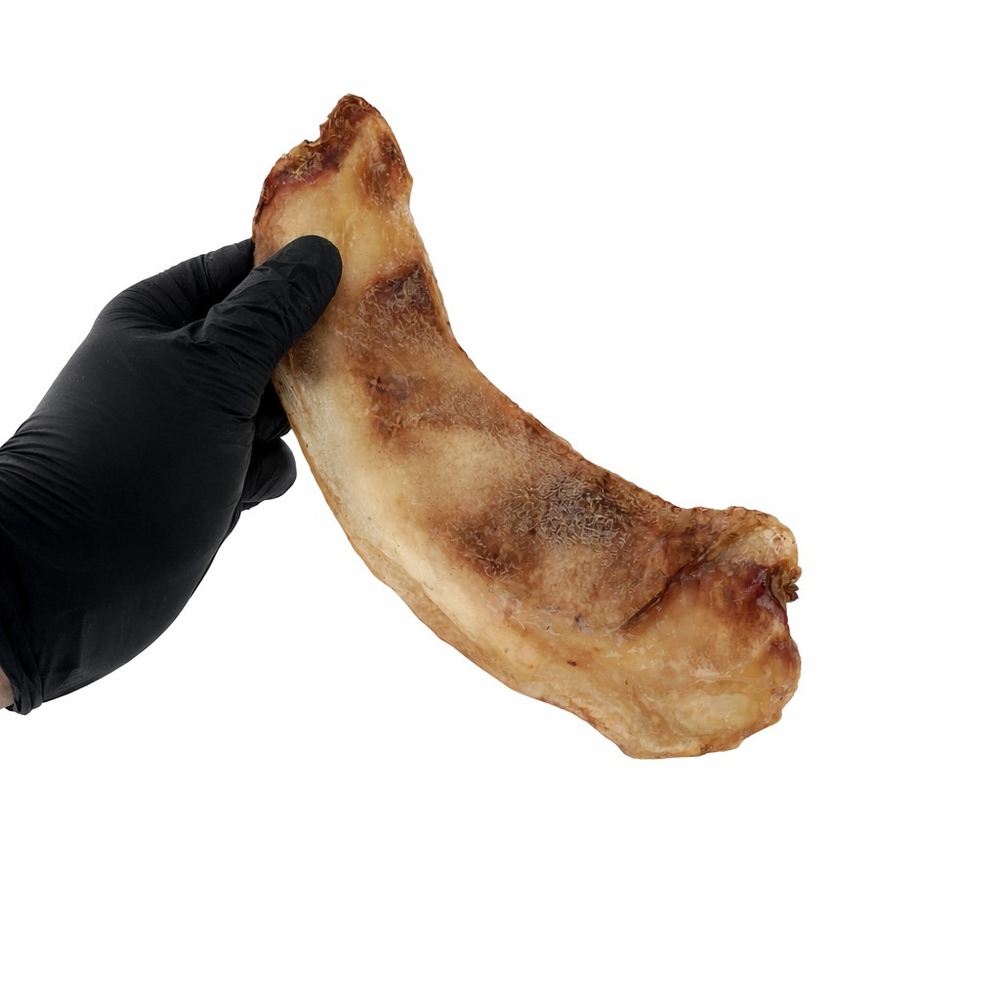 Хрящик лопаточный L 1 шт