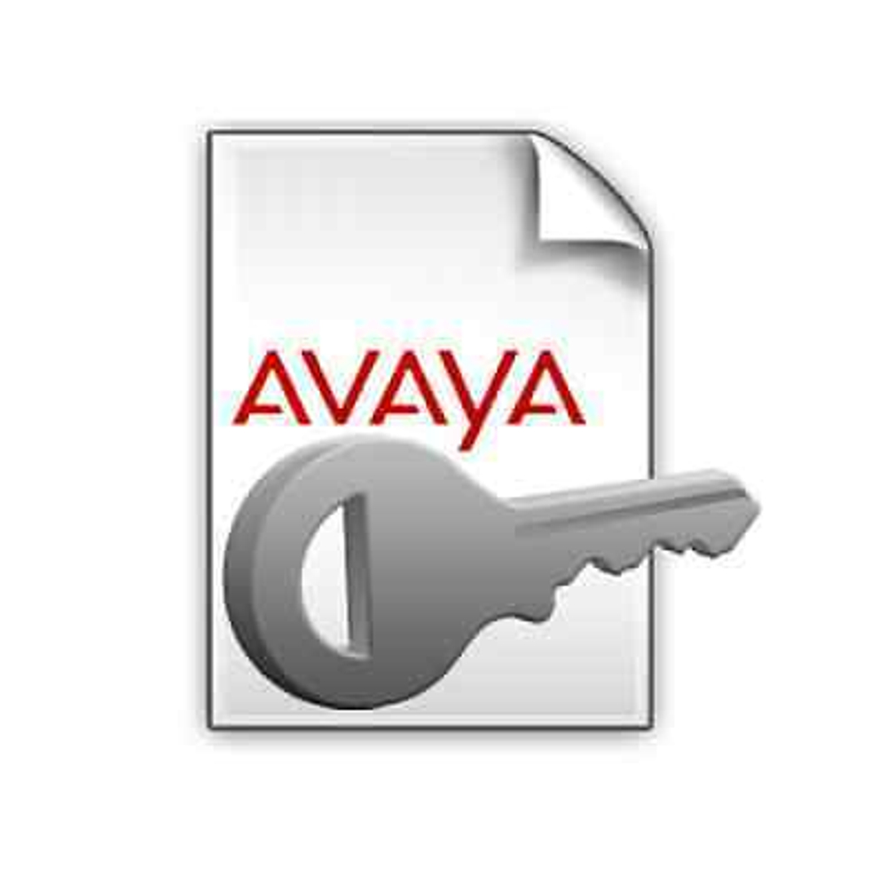 Ключ активации  Avaya 202967