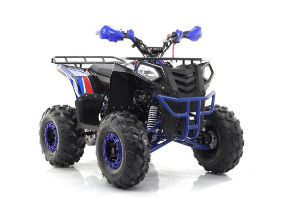 Квадроцикл MOTAX Grizlik A125