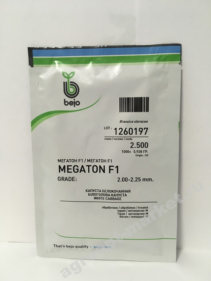 Мегатон F1 семена капусты белокочанной (Bejo / Бейо) упаковка 2500 штук – фото 3