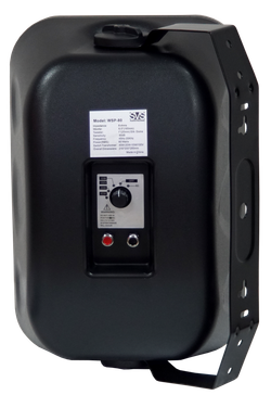 SVS Audiotechnik WSP-80 Black Громкоговоритель настенный