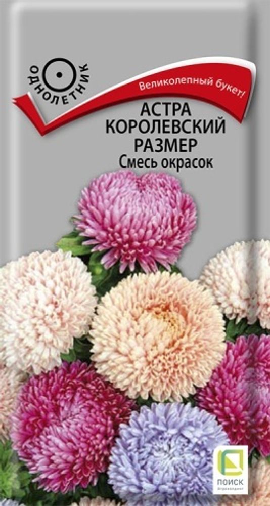 Астра королевский размер Смесь окрасок 0,1гр Поиск