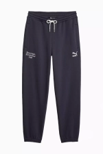 Штаны Puma Team