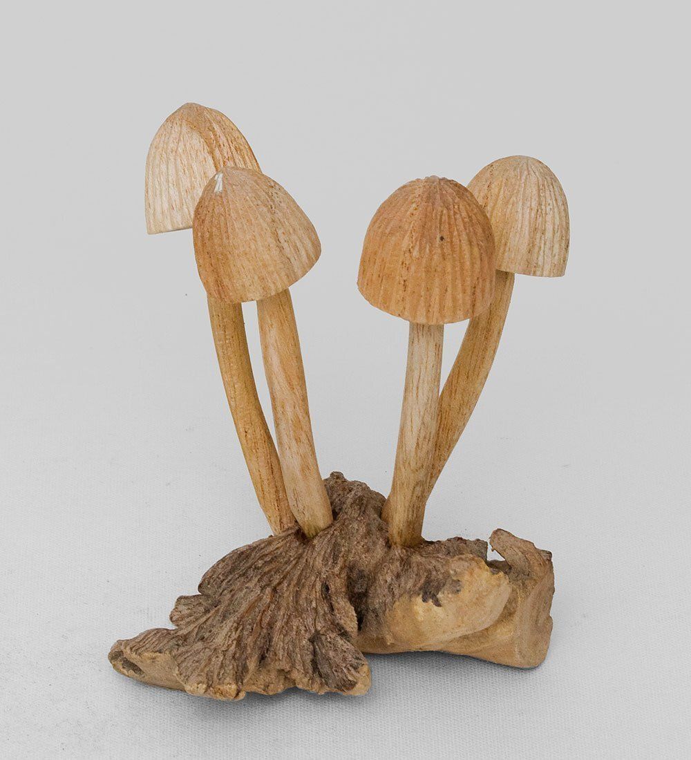 Decor and Gift 50-015 Статуэтка «Грибы»