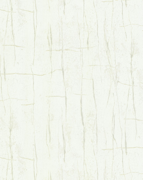 86055 Valentin Yudashkin