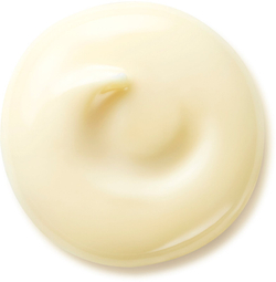 Shiseido Benefiance Wrinkle Smoothing Day Cream - дневной крем от морщин SPF 25 /   50  ml  / GTIN 768614149514