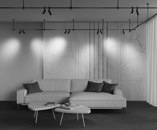 Трековый светильник Technical TR144-1-5W4K-W-B