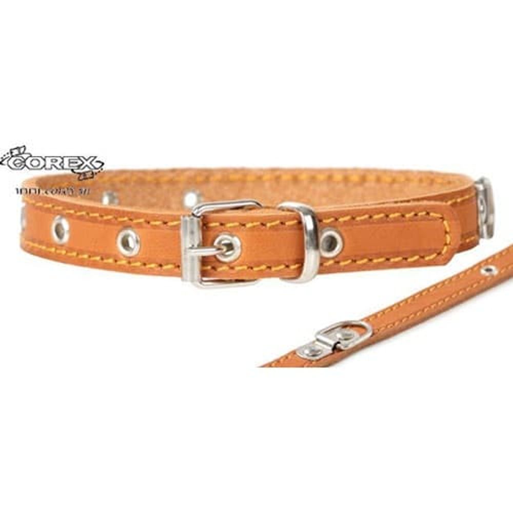 ОШЕЙНИК "BUDDY"  16мм КОЖА Б/Р 15-28см В20020