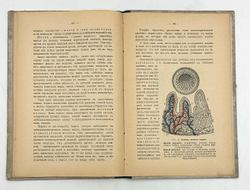 Шмейль О. Человек. Основы учения о человеке и его здоровье. СПб.: Изд. Тенишевского училища. 1908