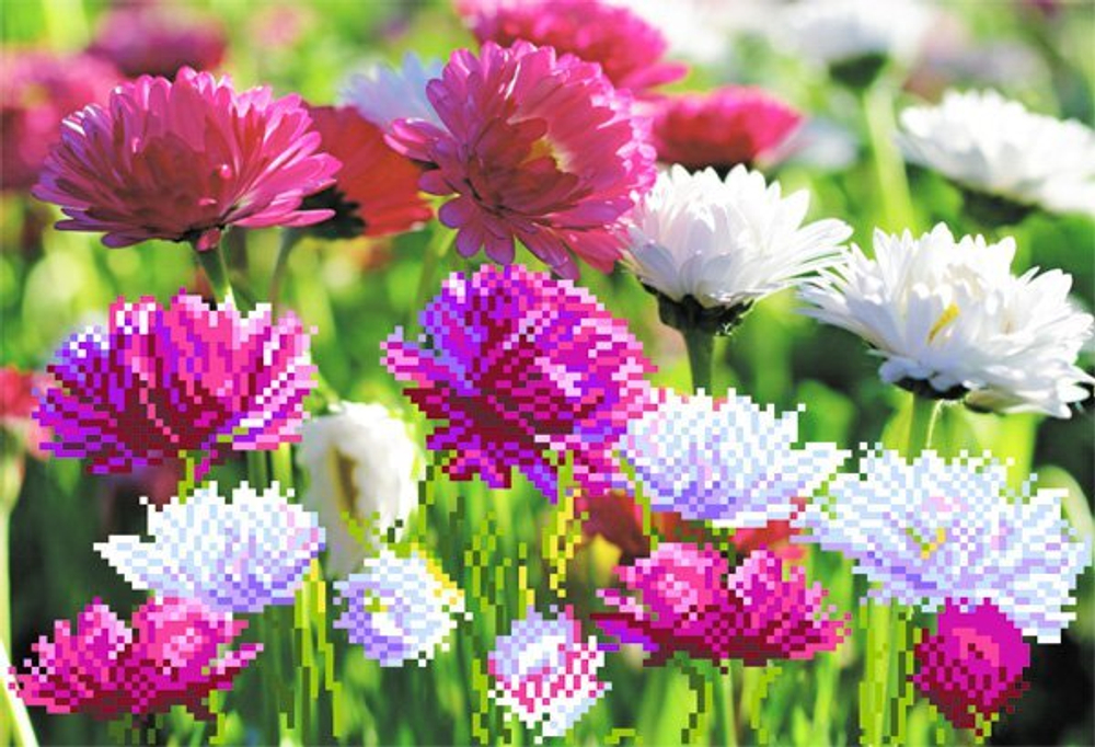 "Астры"-4045 ткань с нанесенным рисунком