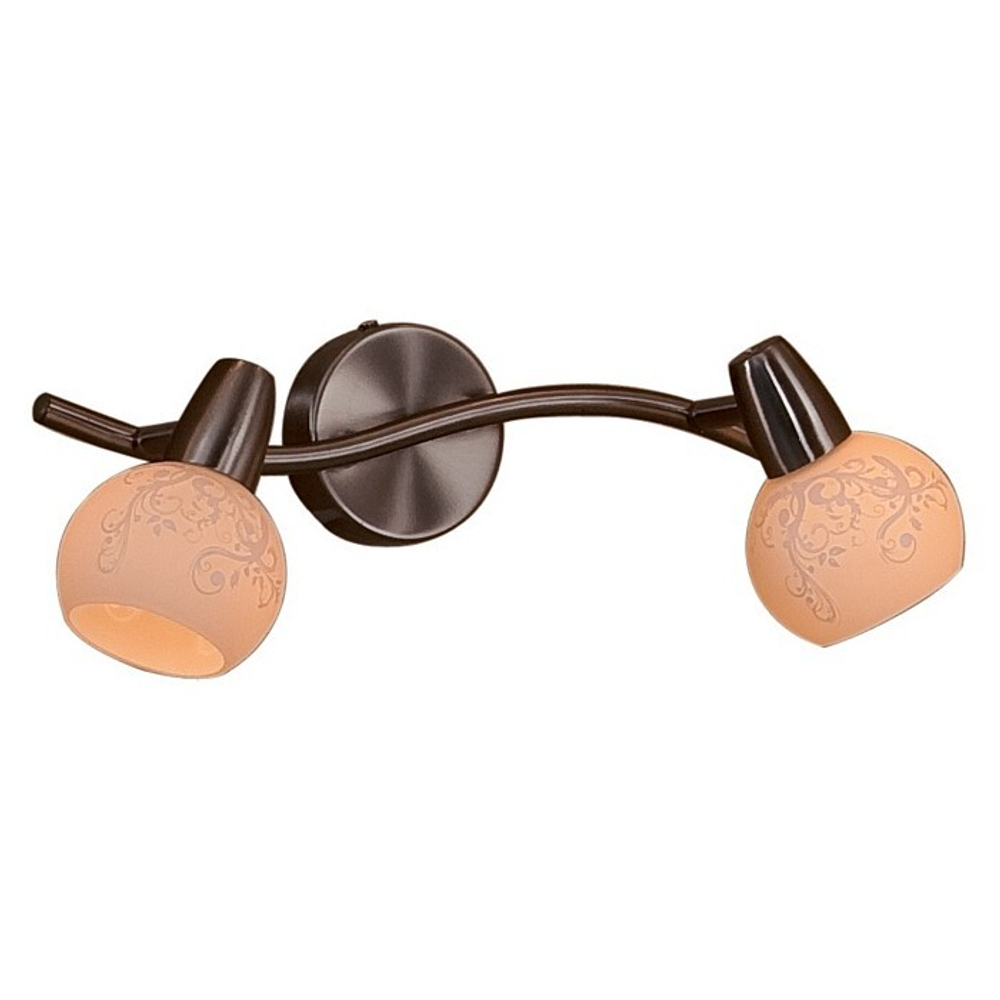 Спот Citilux CL520521