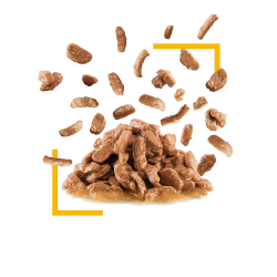 Royal Canin 85г Sensory Testel (вкус) пауч для кошек кусочки в соусе