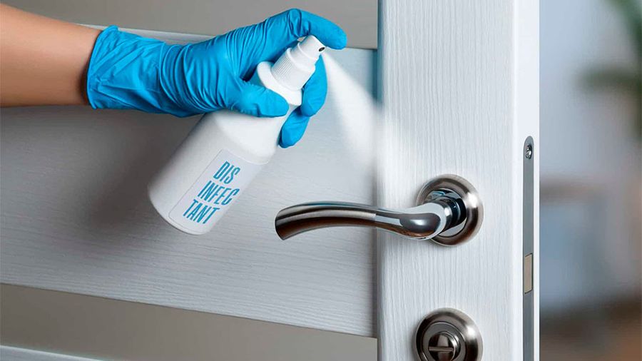 Уход за деревянными дверьми: советы по очистке, обновлению и защите от влаги и насекомых Уход за деревянными дверьми: советы по очистке, обновлению и защите от влаги и насекомых