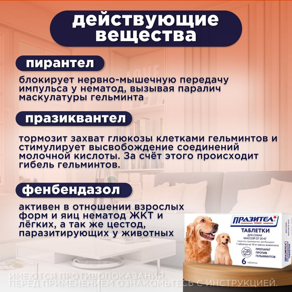Таблетки от гельминтов для собак более 20кг Празител Плюс, 6 таб. Празиквантел/Пирантел/Фенбендазол
