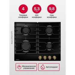 Газовая панель Hansa BHGA610791