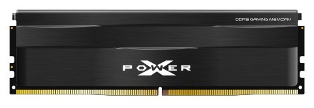 Модуль памяти DDR5 16GB Silicon Power SP016GXLWU60AFSE